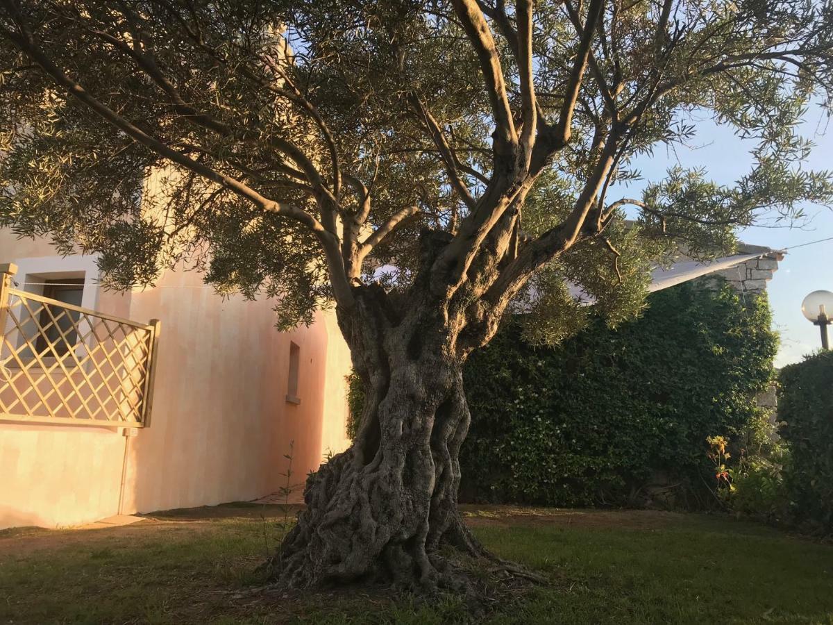 Esmeralda'S Rooms Porto San Paolo  Exterior foto